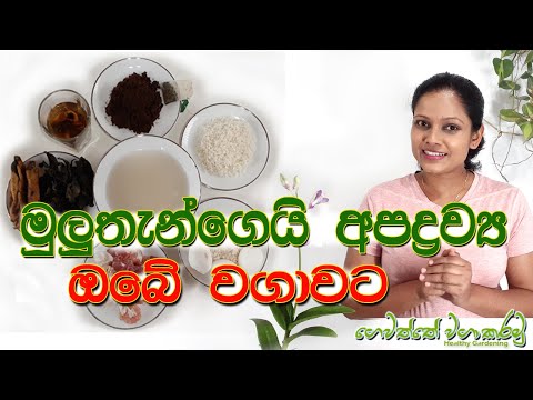 ආහාර වගා කරමු