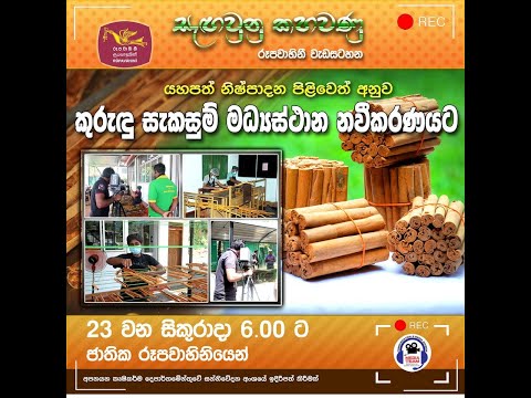 අපනයන වෙළඳපොලට