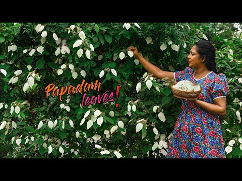 ගමේ ජීවිතය