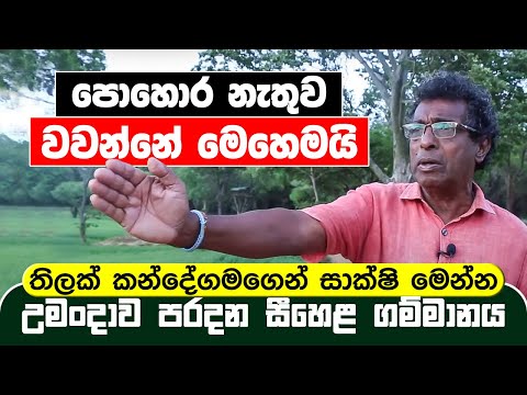 පොහොර නැතිව වවන්න